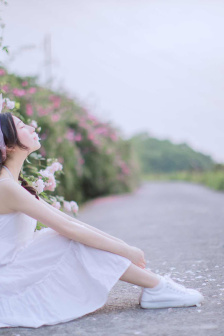 桃花马上请长缨全文免费阅读小说